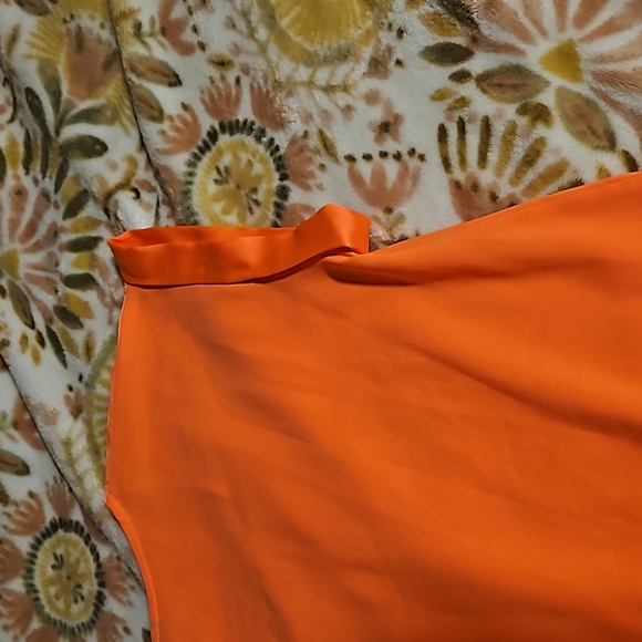 Express - Picture 3 of 3